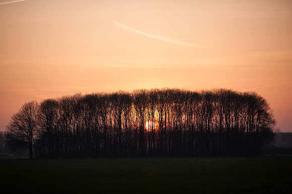 rgeven2017-6705