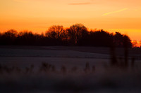 rgeven2016-5385
