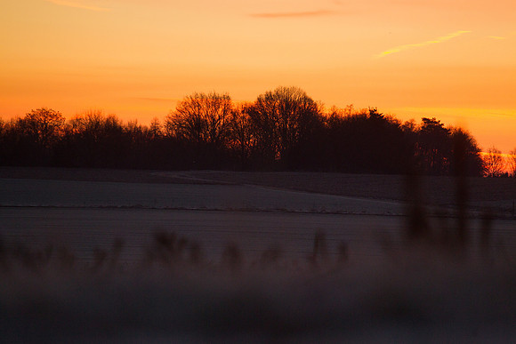 rgeven2016-5385