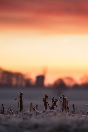 rgeven2016-5441