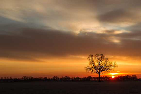 rgeven2016-5635