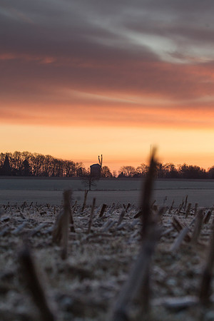 rgeven2016-5541