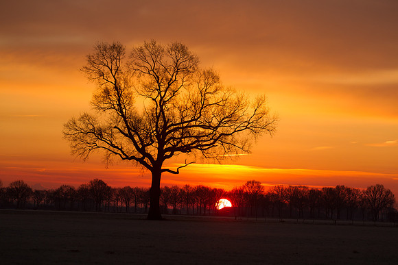 rgeven2016-5562