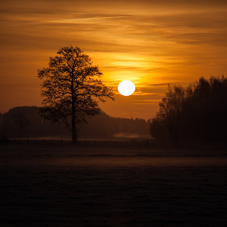 rgeven2017-6638