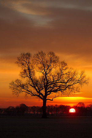 rgeven2016-5586