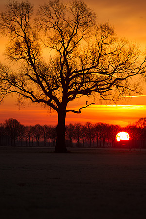 rgeven2016-5579