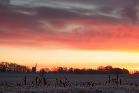 rgeven2016-5463
