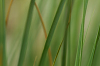 rgeven2016-3063