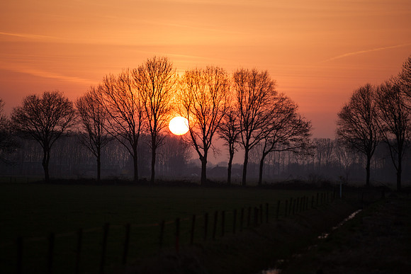 rgeven2017-6707