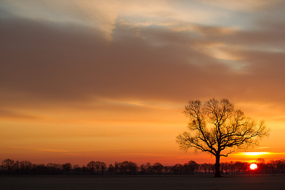 rgeven2016-5620