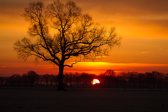 rgeven2016-5564