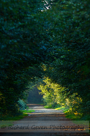 rgeven20151003-3086