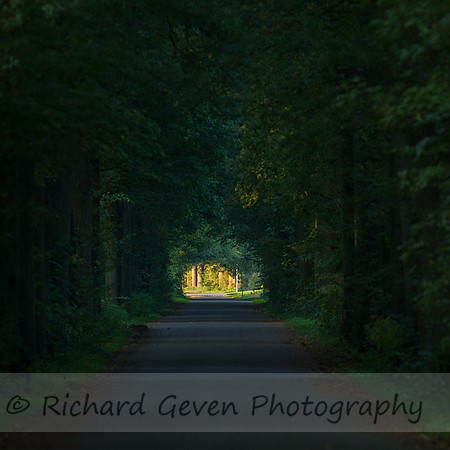 rgeven20151003-3092