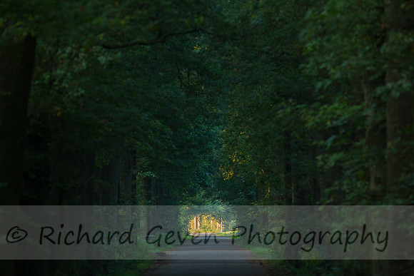 rgeven20151003-3091