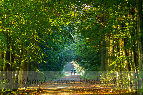 rgeven20151003-3068