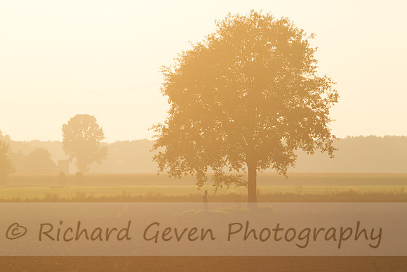 rgeven20151003-3110