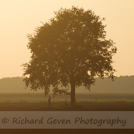 rgeven20151003-3097