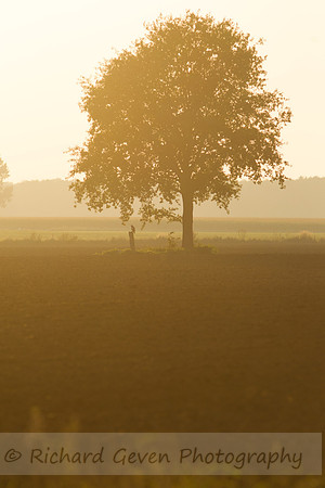 rgeven20151003-3104