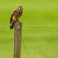 rgeven20151003-1458