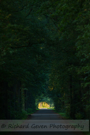 rgeven20151003-3094