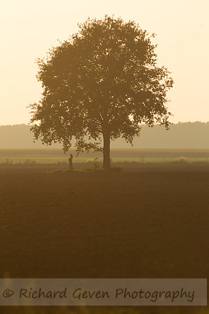 rgeven20151003-3103