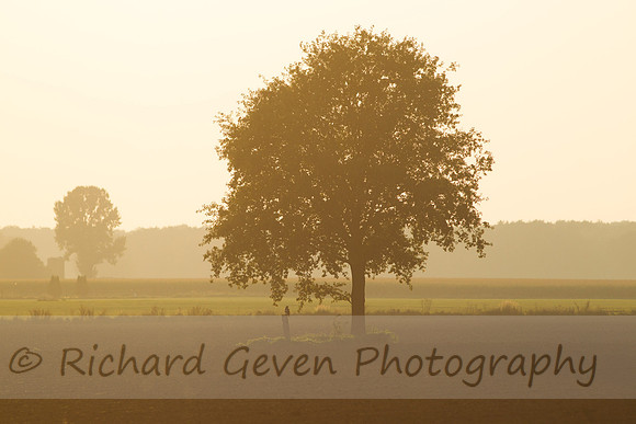 rgeven20151003-3095