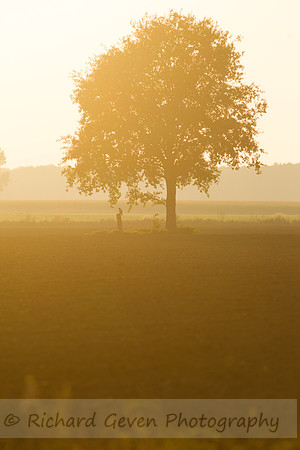 rgeven20151003-3105