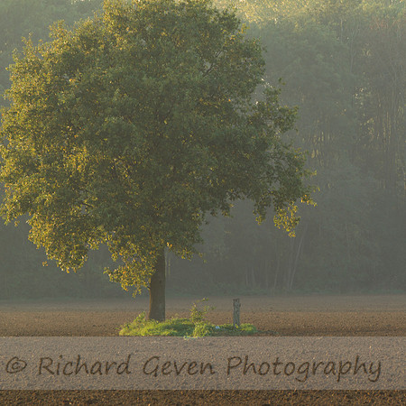 rgeven20151003-3114