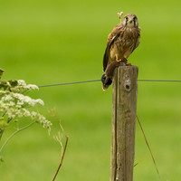 rgeven20151003-1460