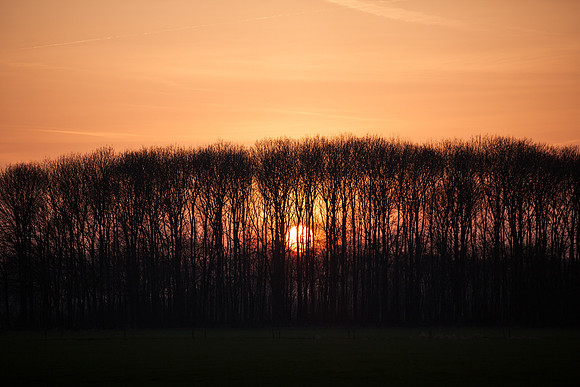 rgeven2017-6702