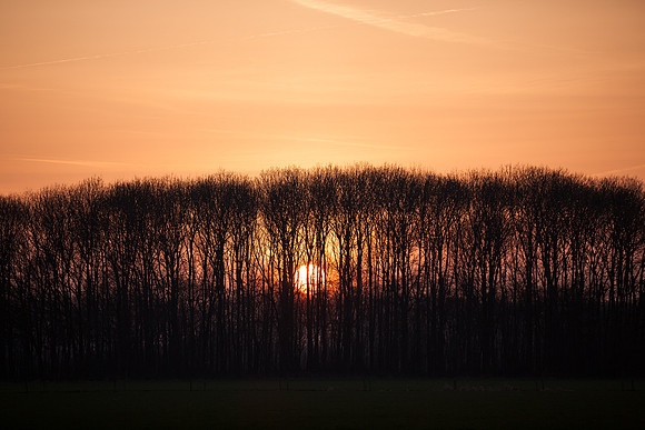 rgeven2017-6701