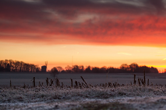 rgeven2016-5449