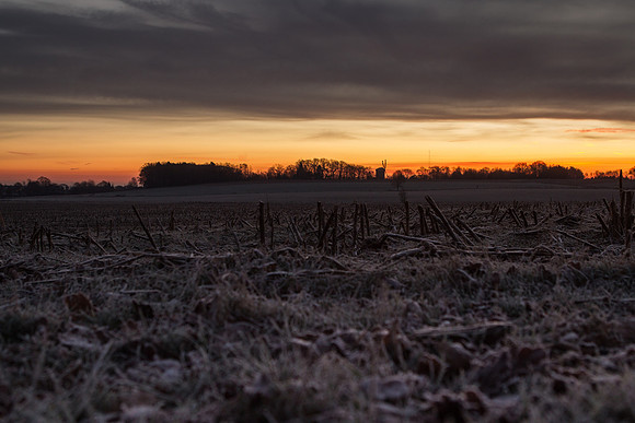 rgeven2016-5297