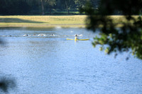 19RG1468-2