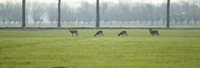 rgeven2017-1825