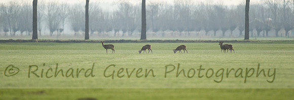 rgeven2017-1825
