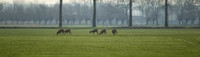 rgeven2017-1811