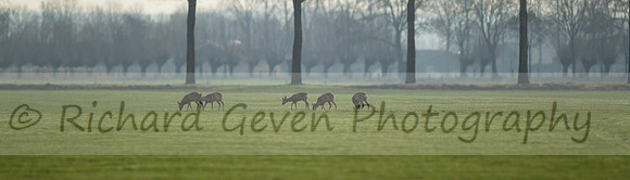 rgeven2017-1811