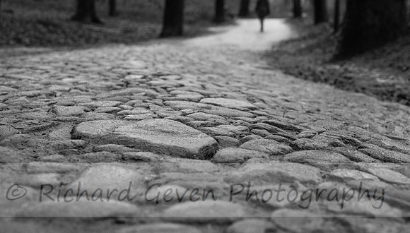 rgeven2017-4341