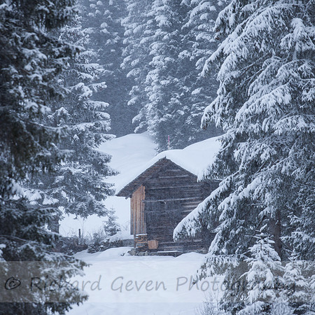 rgeven2017-5363