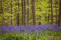 rgeven2017-9469