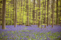 rgeven2017-9458
