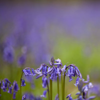 rgeven2017-9444