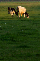 rgeven20151003-3120