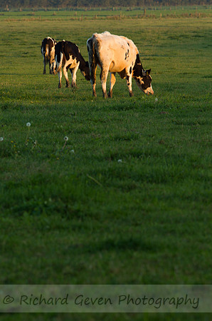 rgeven20151003-3120
