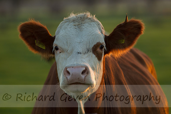 rgeven20151003-3242