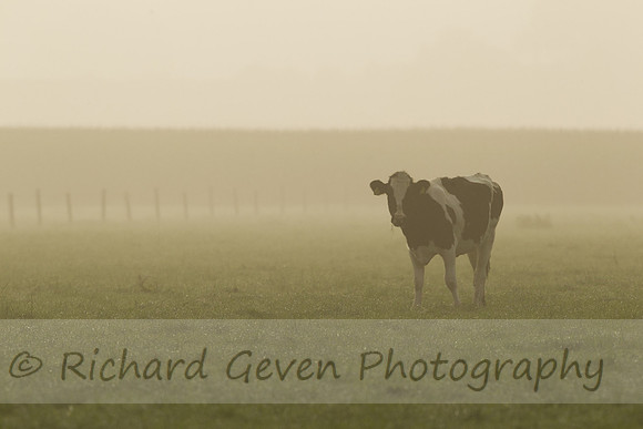 rgeven2016-3417