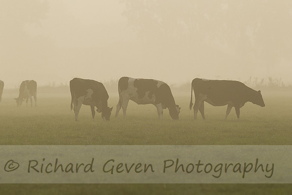 rgeven2016-3406