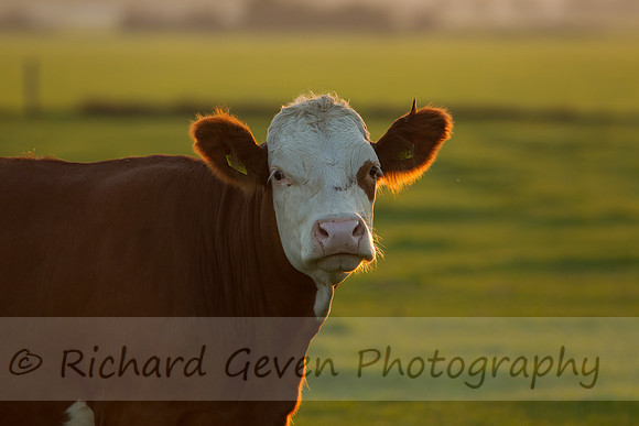 rgeven20151003-3232