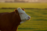 rgeven20151003-3230